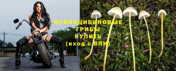 экстази Верхний Тагил