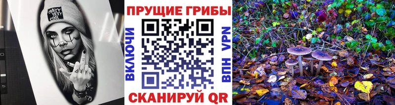 дарк нет состав  где найти наркотики  Рузаевка  Галлюциногенные грибы Psilocybe 
